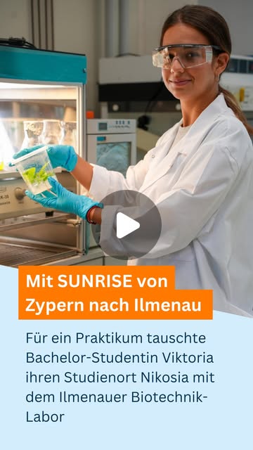 Vorschau des TU-Ilmenau-Beitrags 1